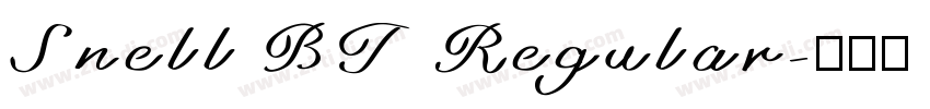 Snell BT Regular字体转换